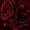 Rose Fatiche – Eau De Parfum 40Ml Rose Fatiche – Eau De Parfum 40Ml